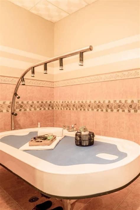 asain shower|What Is a Table Shower and Table Shower Massages .